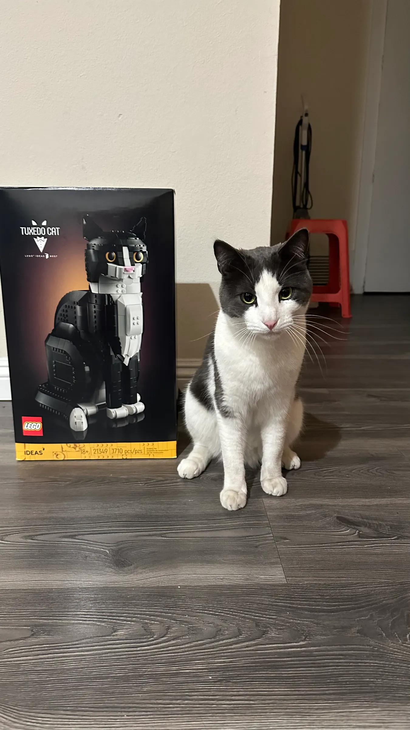 Lego Tuxedo Cat next to a real Tuxedo Cat